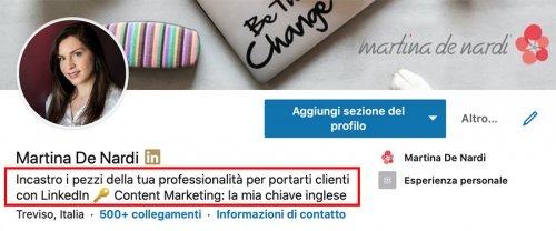 headline profilo martina